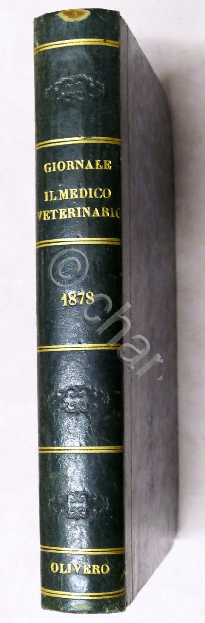 Veterinaria - Il Medico Veterinario - Giornale teorico pratico - … | Immagine principale
