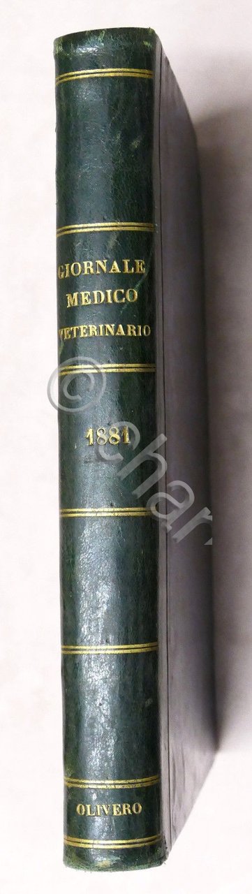 Veterinaria - Il Medico Veterinario - Giornale teorico pratico - … | Immagine principale