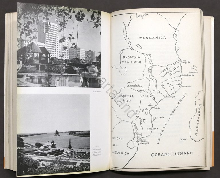 Viaggi Esplorazioni - Magliocco - Uomo in Africa - 1959 …