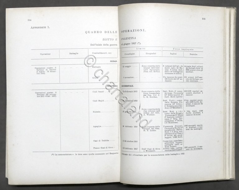 WWI - Le Operazioni militari in Egitto e Palestina Vol. …