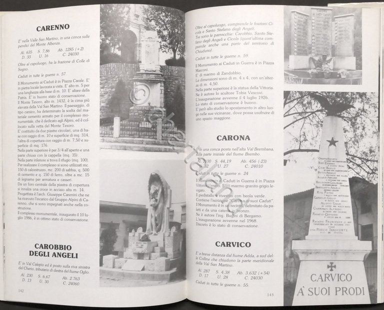 WWI - Raffaelli, Zoja - Ai bergamaschi caduti in guerra …