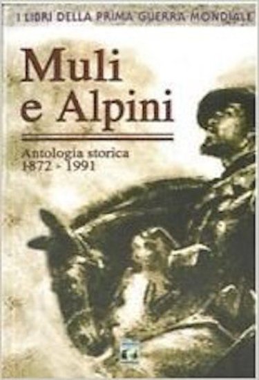 WWI - Viazzi Caravati - Muli e Alpini - Ed. … | Immagine principale