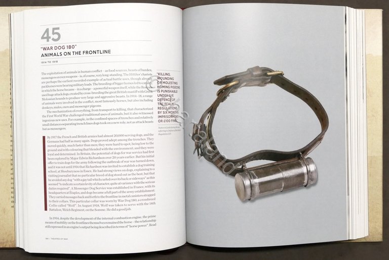 WWI - Wilson - A history of the First World … | Immagine Gallery 5