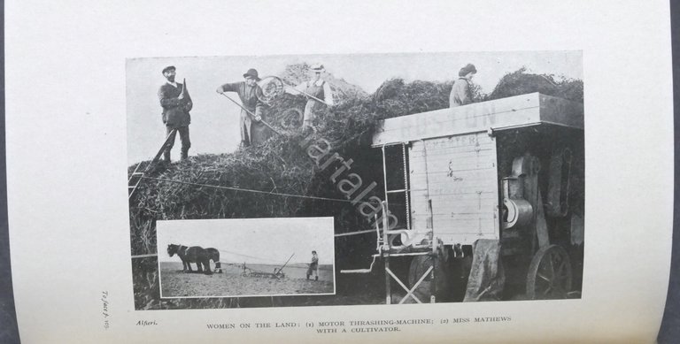 WWI - Women of the war by Barbara McLaren - …