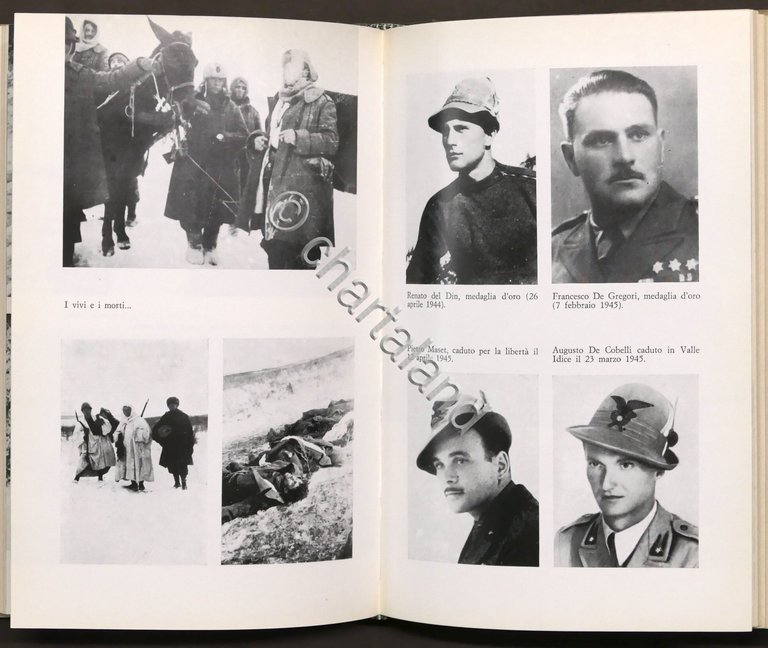 WWII - Aldo Rasero - Alpini della Julia - Divisione …