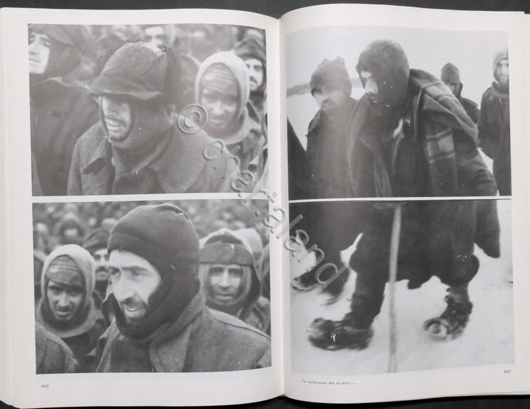 WWII - Bertinara - La tragedia italiana sul fronte russo …