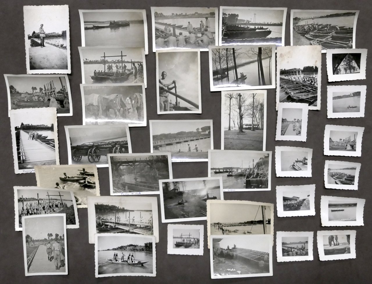 WWII - Lotto 36 fotografie militari italiani - Pavia / …