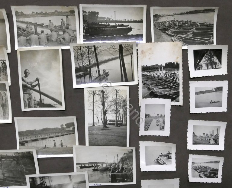WWII - Lotto 36 fotografie militari italiani - Pavia / …
