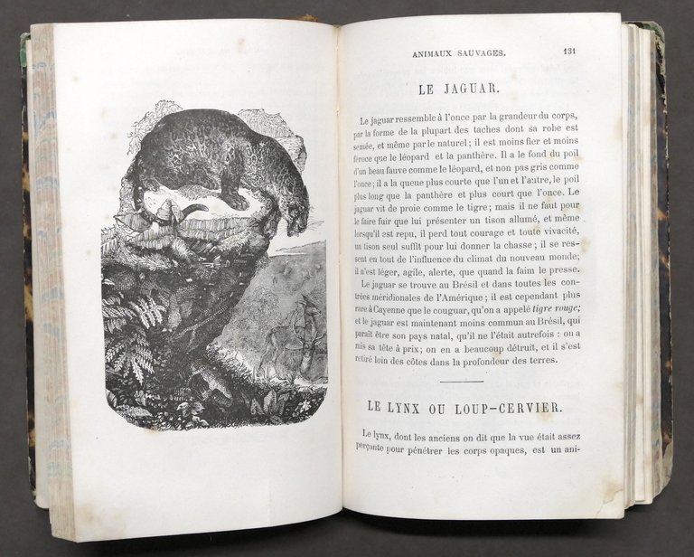 Zoologia - Le petit Buffon illustré - Histoire et description …