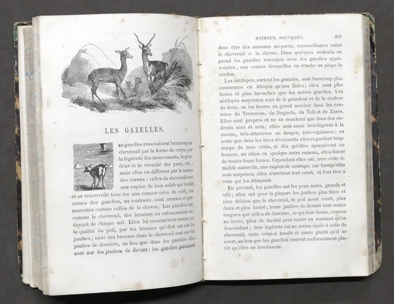 Zoologia - Le petit Buffon illustré - Histoire et description …