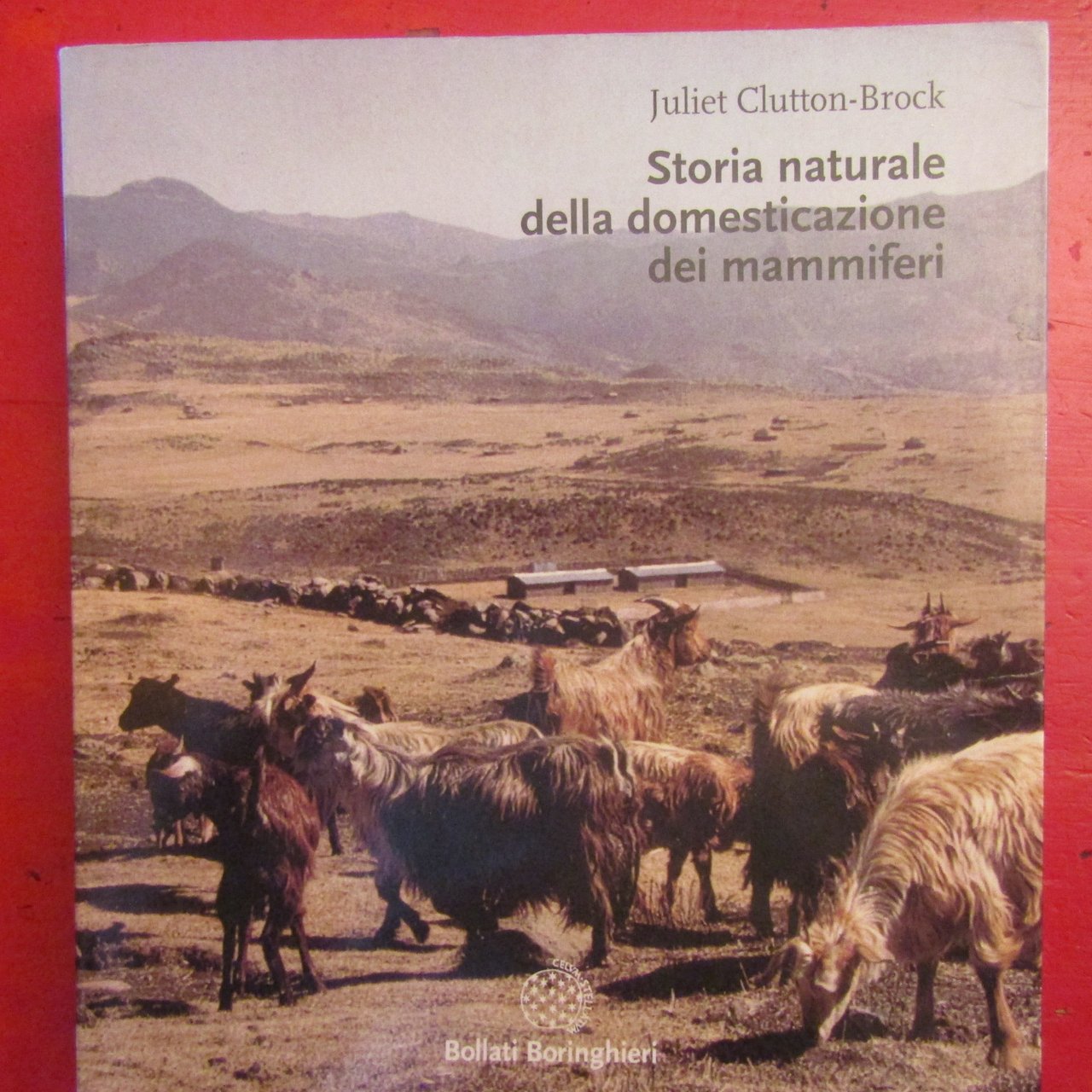 Storia naturale della domesticazione dei mammiferi