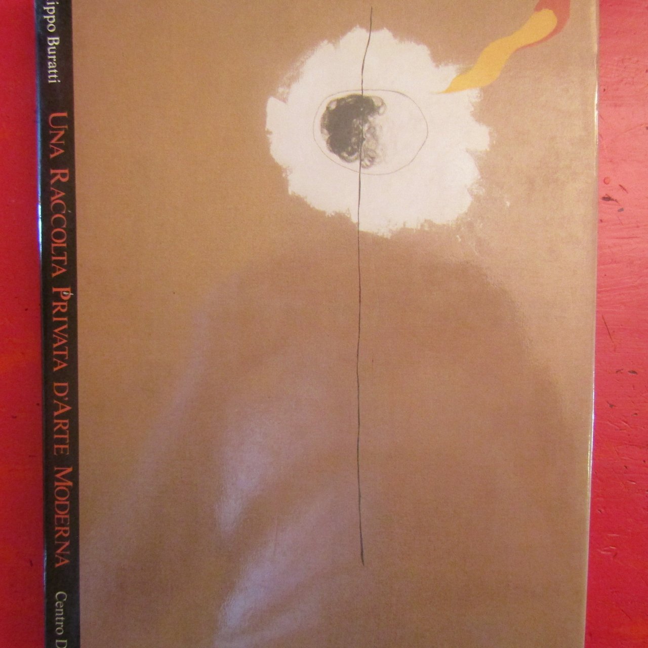 Una Raccolta Privata d'Arte Moderna