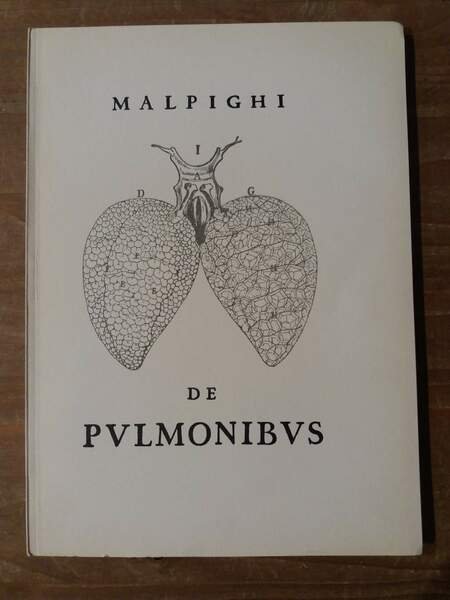 De pulmonibus