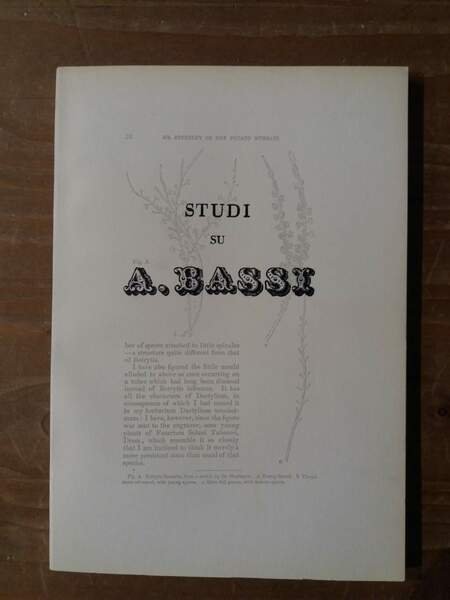 Studi su A. Bassi
