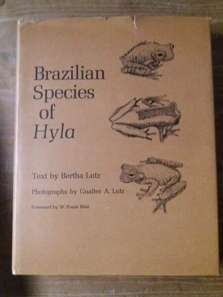 Brazilian Species of Hyla