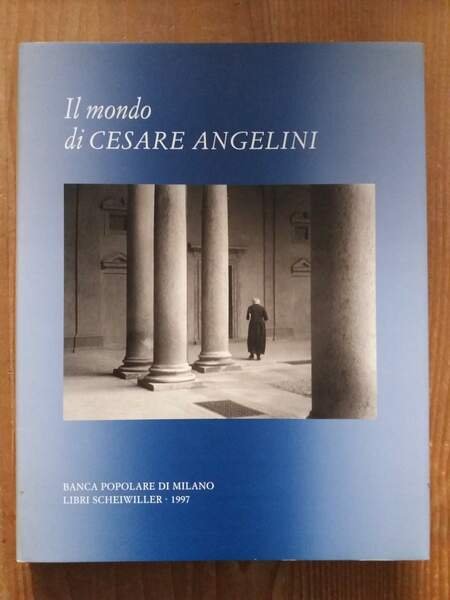Il mondo di Cesare Angelini