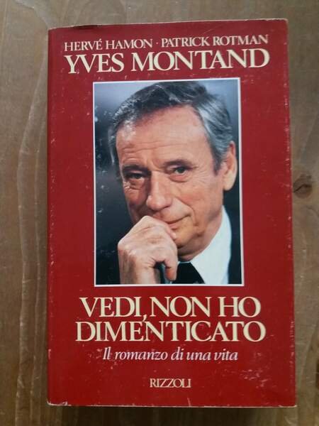 Vedi, non ho dimenticato Il romanzo di una vita