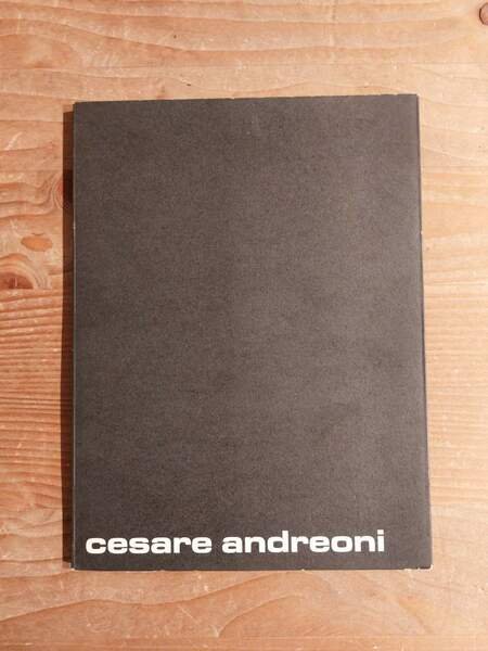 Cesare Andreoni