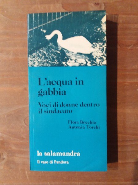 L'acqua in gabbia Voci di donne dentro il sindacato