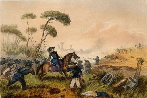 . | Immagine principale