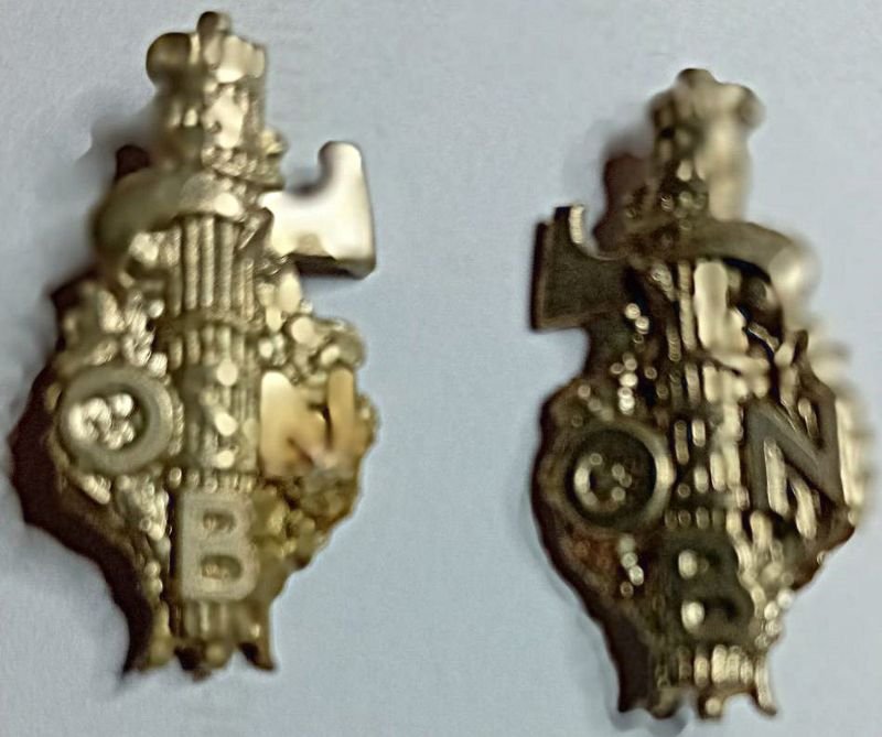 Coppia di fasci littori sul fondo alloro e foglie di …