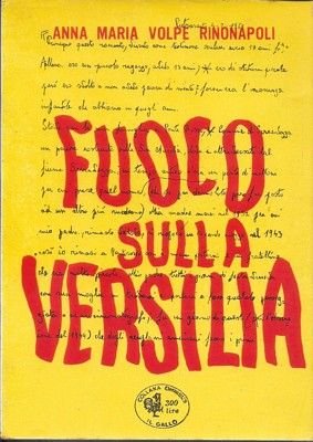 Fuoco sulla Versilia.