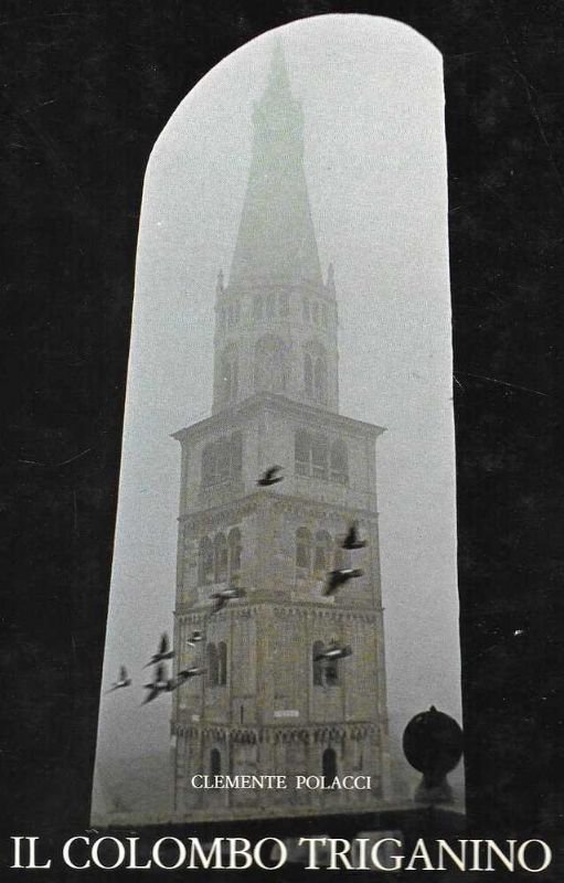 Il Colombo Triganino.