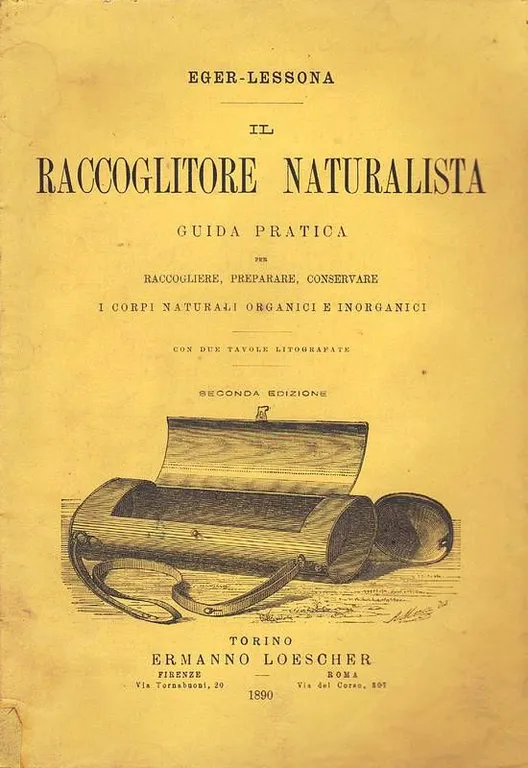 Il raccoglitore naturalista. Guida pratica per raccogliere, preparare, conservare i …