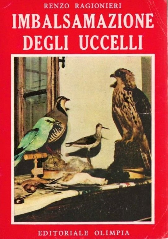 Imbalsamazione degli uccelli.