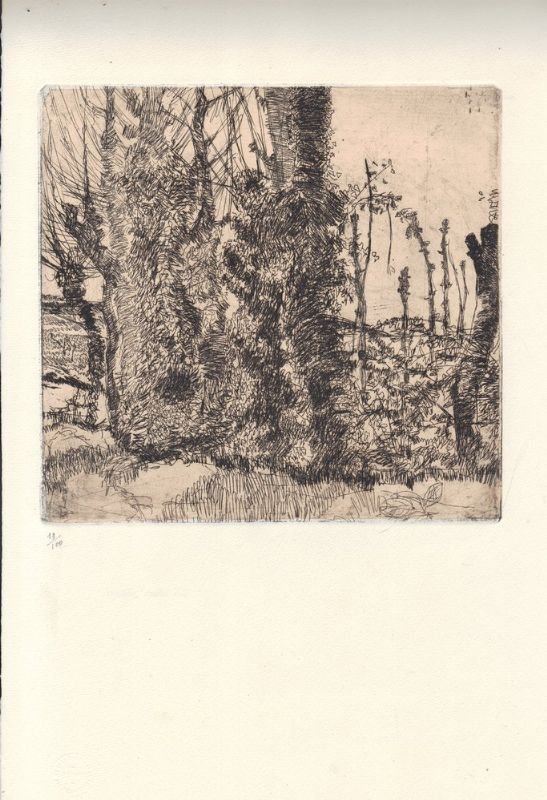 L'Eremo dei Frati Bianchi. Co quattro acqueforti.