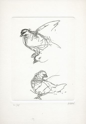 La pelle di coniglio.