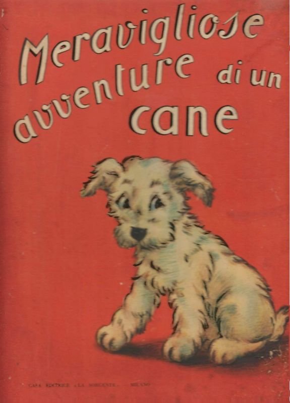 Meravigliose avventure di un cane.