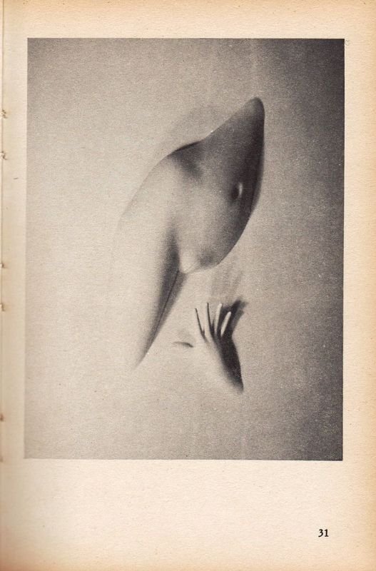 Testi di Domenico Javarone - Bernard Fillaire. (Eros Galleria Libreria, …