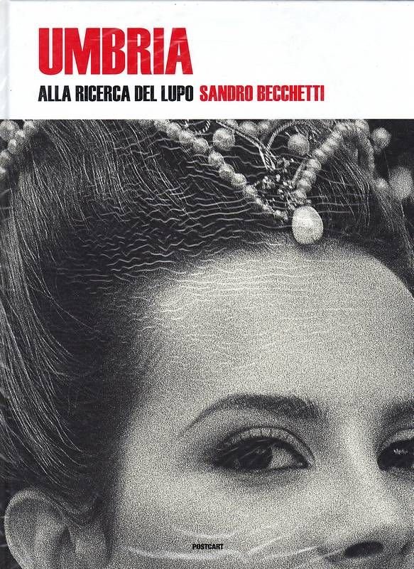 Umbria. Alla ricerca del lupo. | Immagine principale