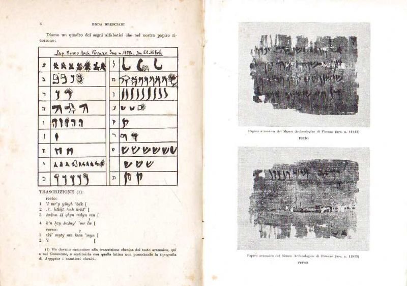 Un papiro aramaico da El Hibeh del Museo Archeologico di …