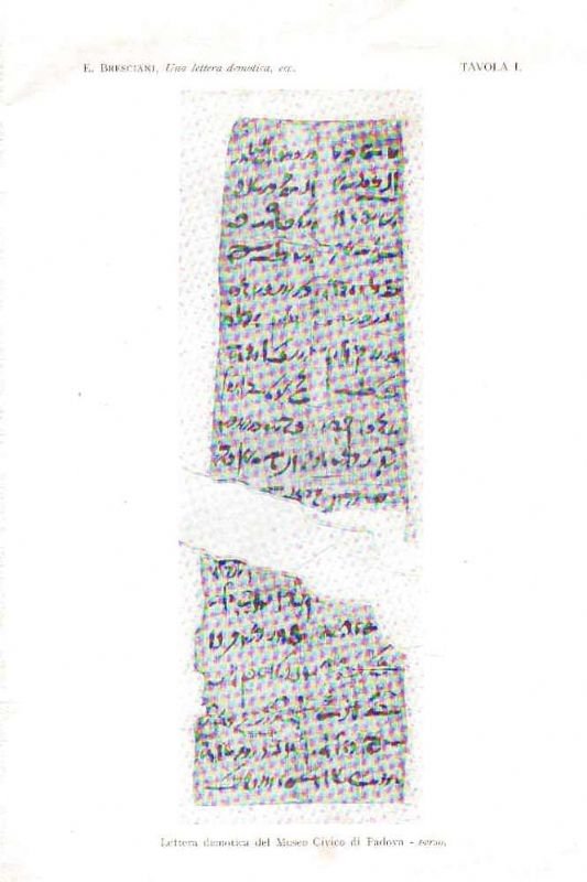 Una lettera demotica nel Museo Civico di Padova.