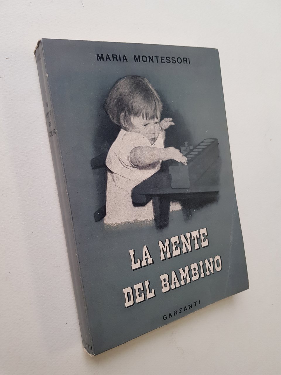 La mente del bambino (mente assorbente).