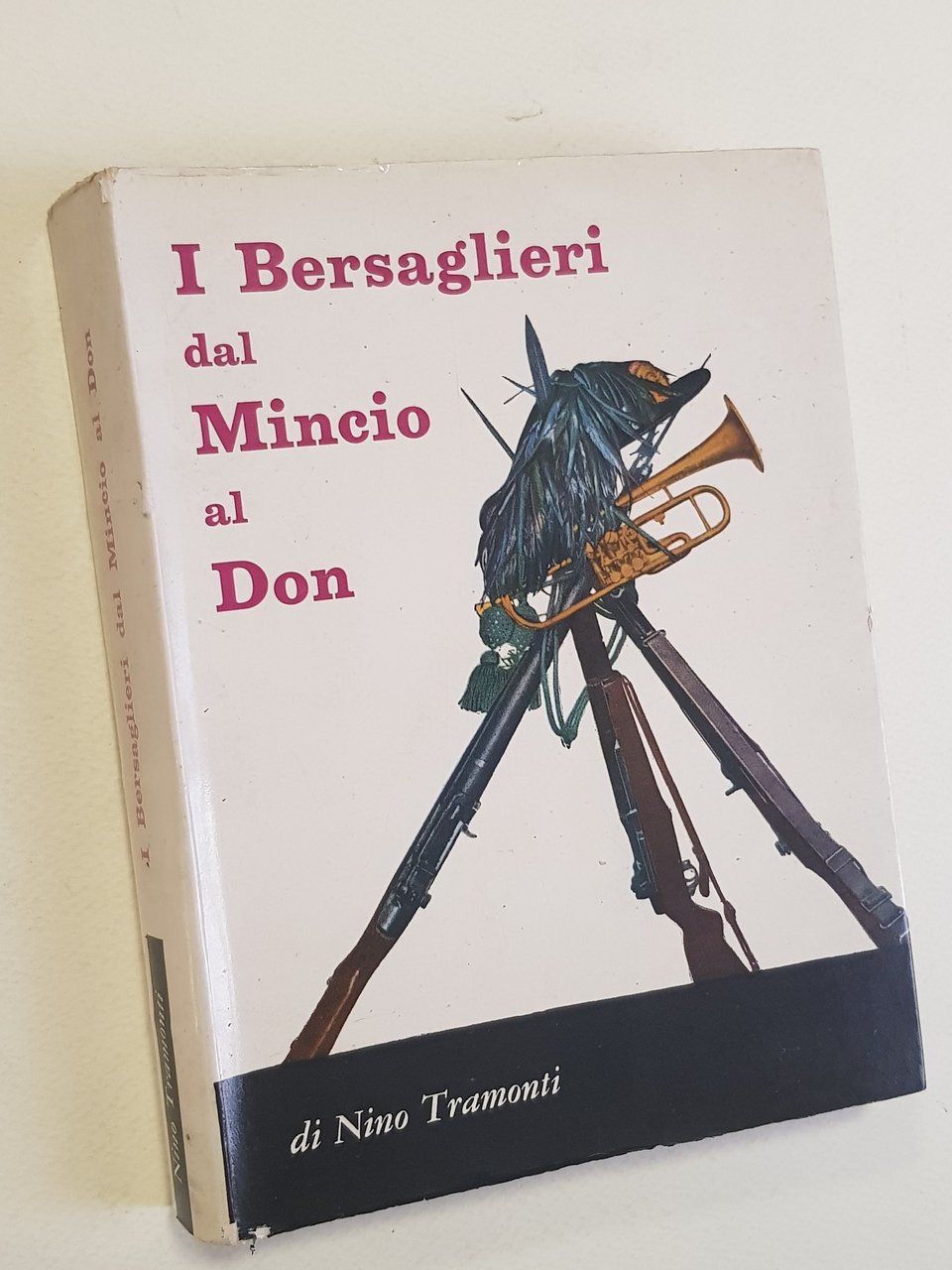 I bersaglieri dal Mincio al Don.