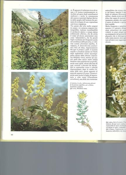 LE ALPI - GUIDA ALLA NATURA DELL'ARCO ALPINO