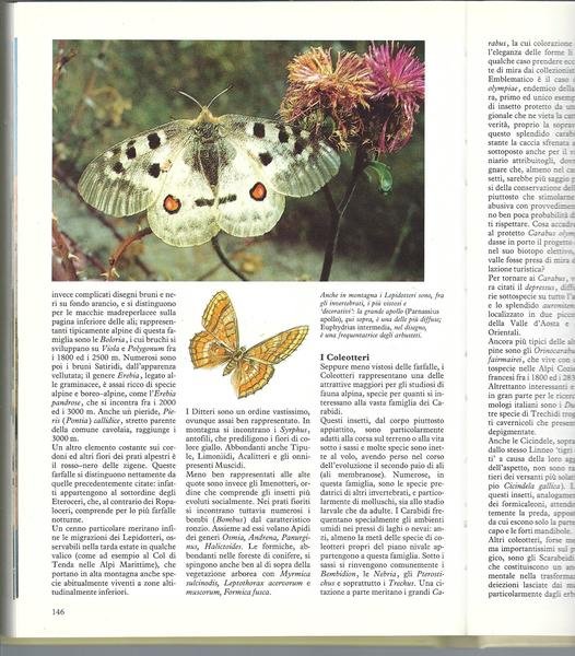 LE ALPI - GUIDA ALLA NATURA DELL'ARCO ALPINO