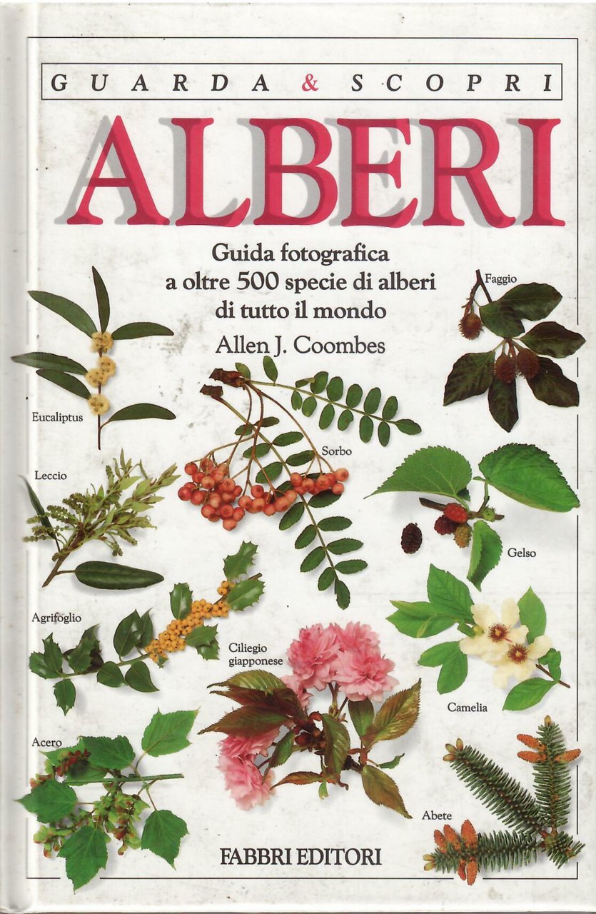 ALBERI - GUIDA FOTOGRAFICA A OLTRE 500 SPECIE DI ALBERI …