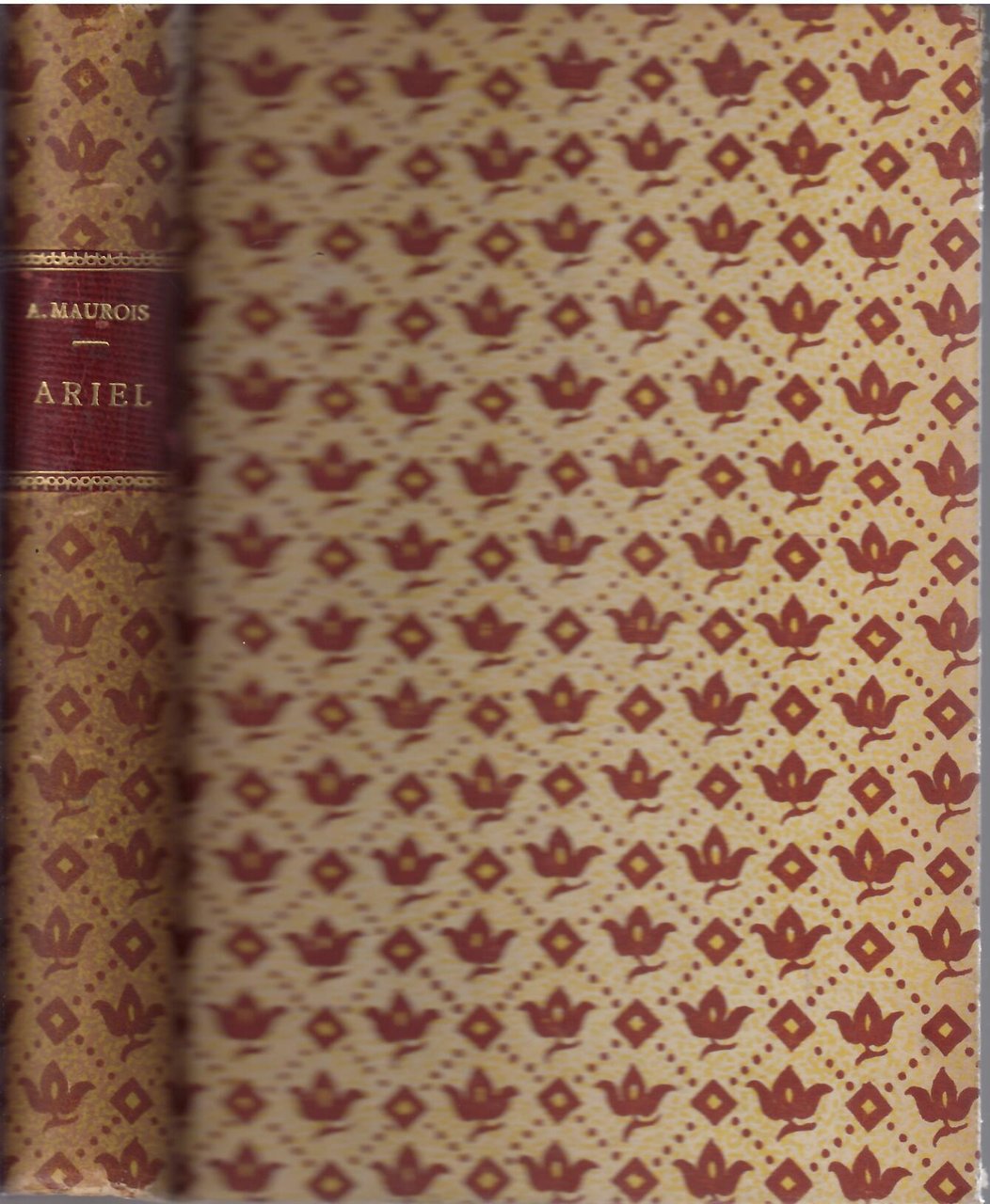 ARIEL OU LA VIE DE SHELLEY