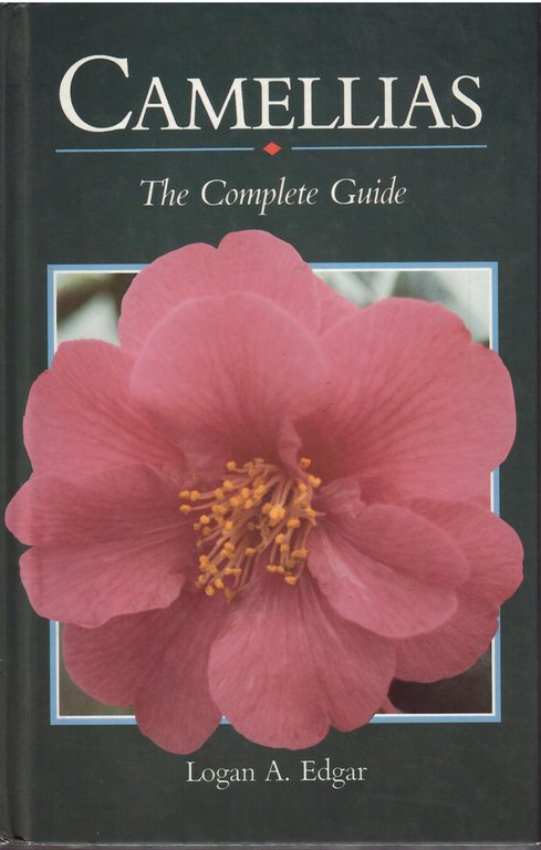 CAMELLIAS