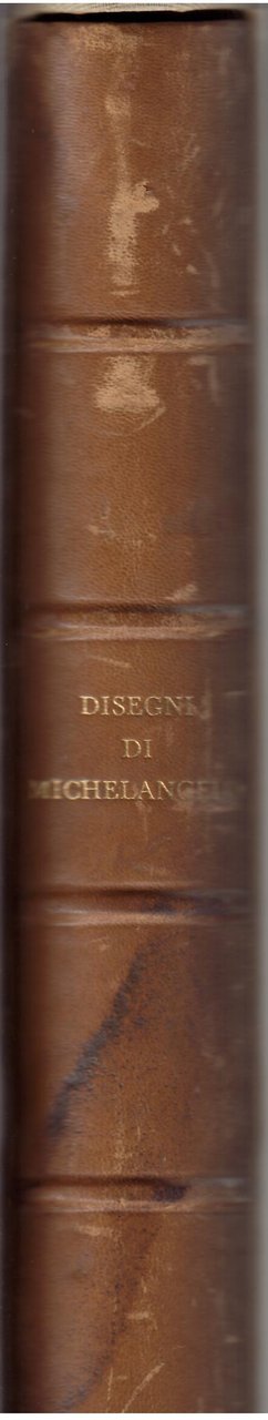 DISEGNI DI MICHELANGELO - 103 DISEGNI IN FACSIMILE