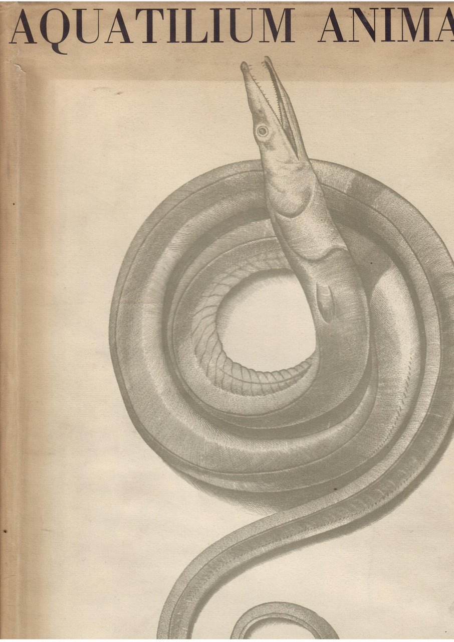 I PESCI AQUATILIUM ANIMALIUM HISTORIAE