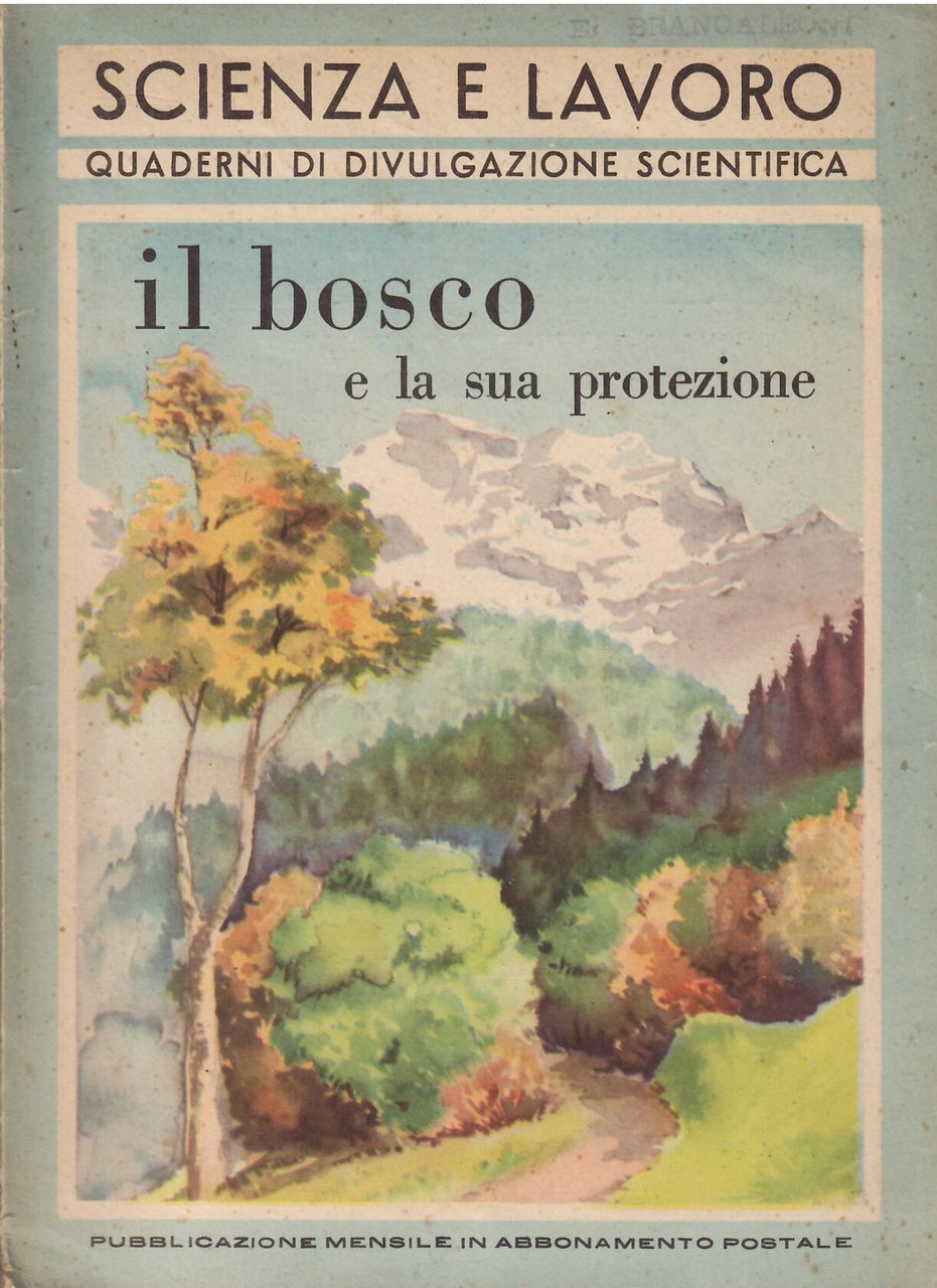 IL BOSCO E LA SUA PROTEZIONE