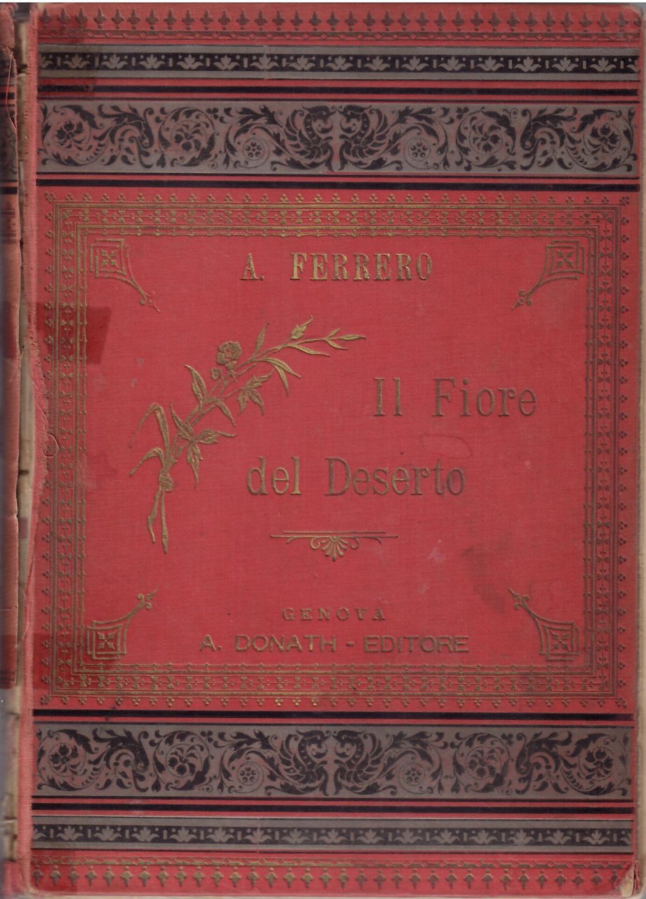 IL FIORE DEL DESERTO