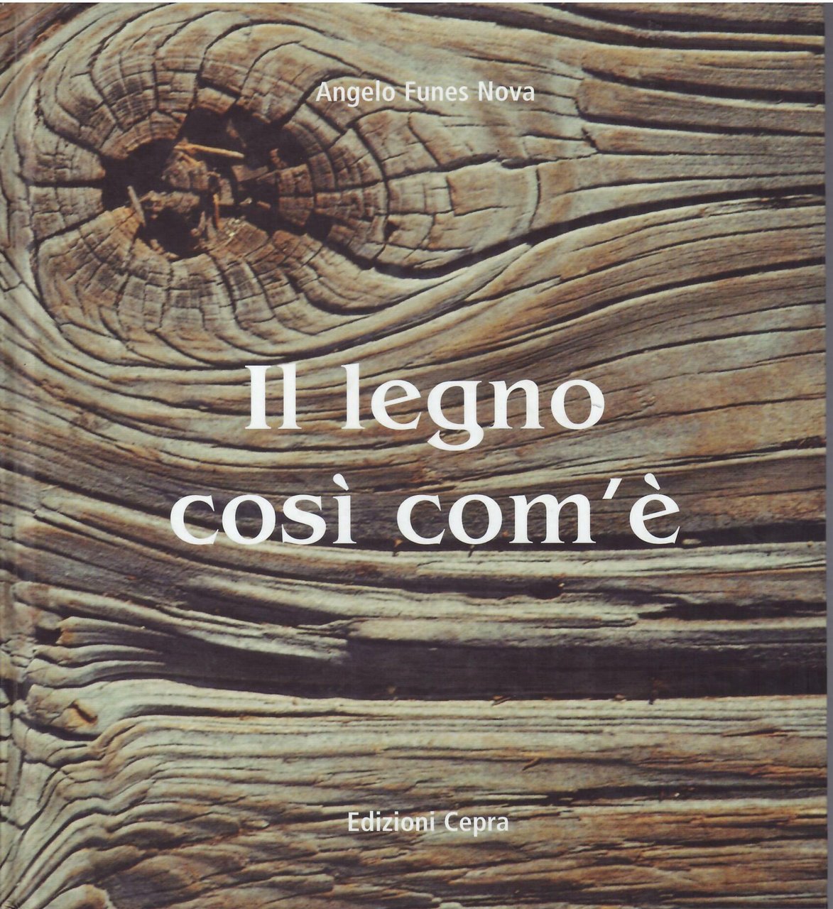 IL LEGNO COSI' COM'E'