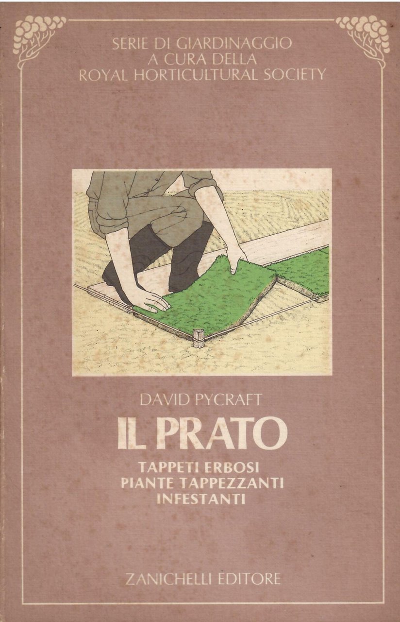 IL PRATO - TAPPETI ERBOSI PIANTE TAPPEZZANTI INFESTANTI | Immagine principale