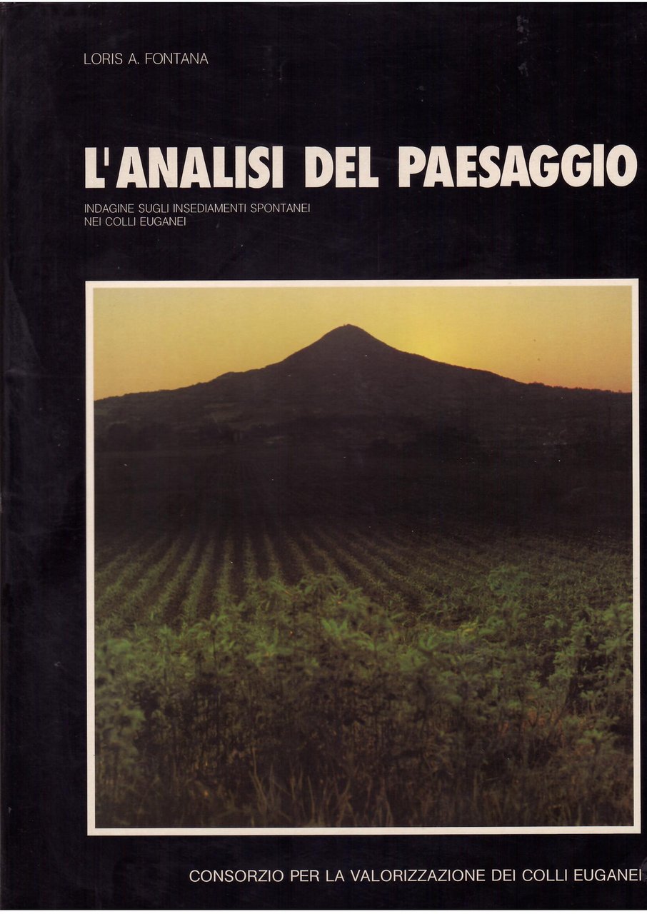 L'ANALISI DEL PAESAGGIO - INDAGINE SUGLI INSEDIAMENTI SPONTANEI NEI COLLI …